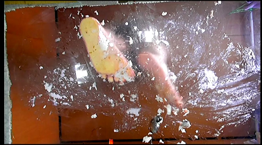 美希様がナマ足やハイヒールで踏んだ寿司を食べさせる！ | DUGAエロ動画データベース