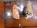 [fumaretai-0059] 美希様がナマ足やハイヒールで踏んだ寿司を食べさせる！のキャプチャ画像 2
