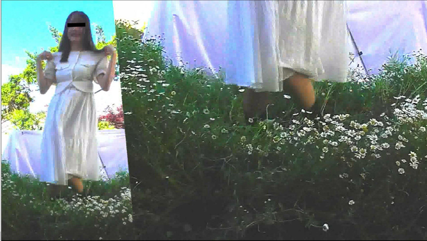 sample-image-2