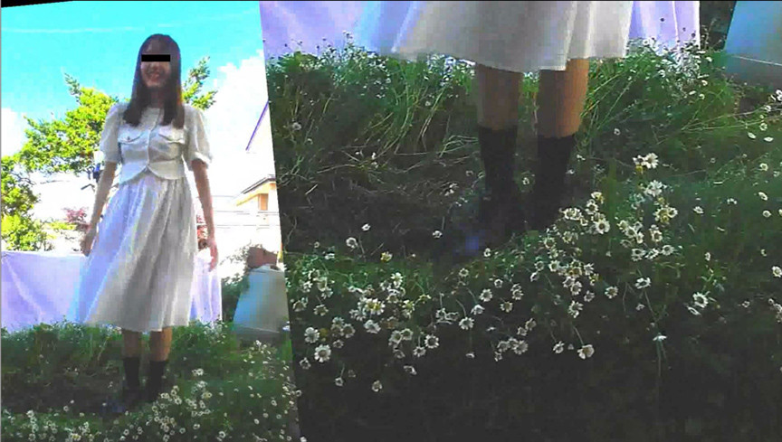 sample-image-4