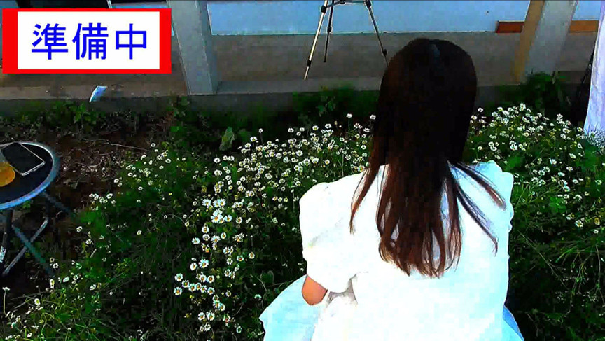 sample-image-7