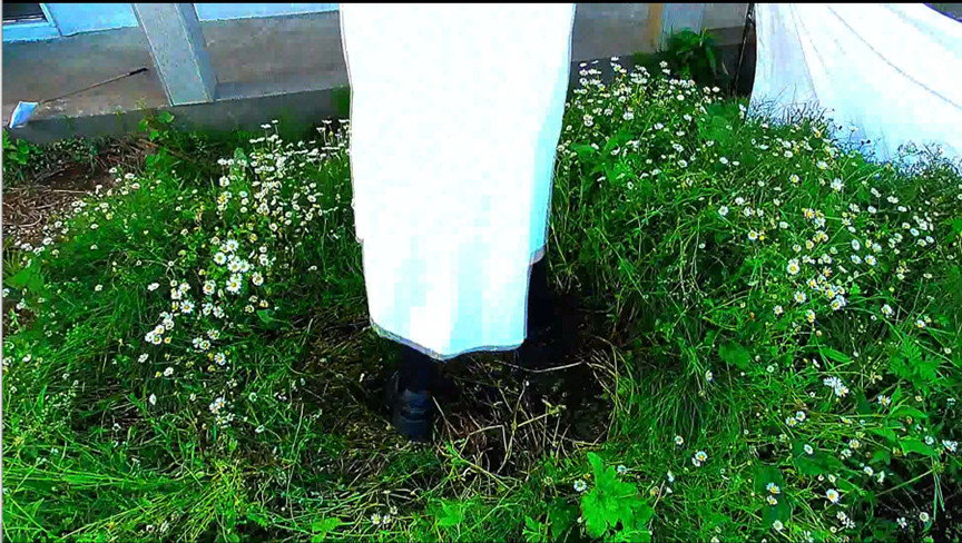 sample-image-8