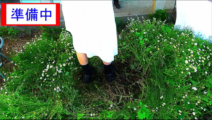 sample-image-9