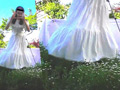 「花のじゅうたん」を踏んで美女がダンス！～涼子様～ 1