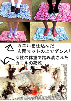 パッケージ画像(小)