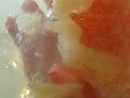 [fumitsukegirls-0009] 熟れた桃を念入りに踏み潰すJKのキャプチャ画像 6