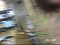 画像0040