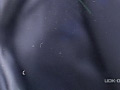 [gakuensya-0265] 第7回 女子校生＆レイヤーチラリンポロリン大運動会 ゆりのキャプチャ画像 9