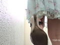 [gakuensya-0280] 通学女子校生 強風どっきりパンモロ VOL.3のキャプチャ画像 6