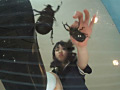 [gekicrush-0001] 可愛い子がカブト虫の雄雌を笑いながら革靴で踏み潰すのキャプチャ画像 7