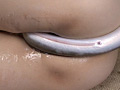 [genki-0028] 泥臭き鰻と泥鰌が淫靡に嗜虐 有賀知弥のキャプチャ画像 3