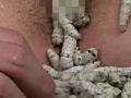 [genki-0034] 桑蚕に寂滅と姦淫に淡い膣窪 里仲ちひろのキャプチャ画像 10