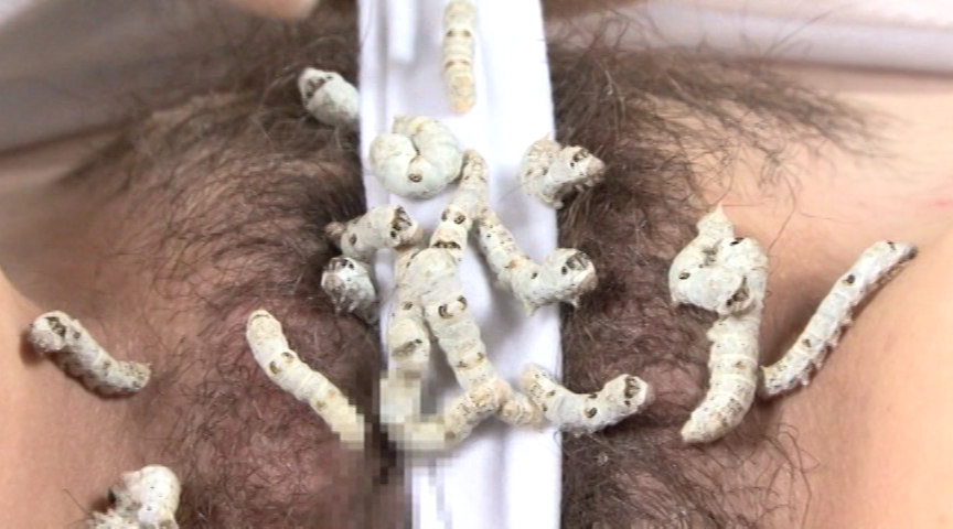 蚕桑に纏い雌濁が蚯蚓に螺混 | フェチマニアのエロ動画Search
