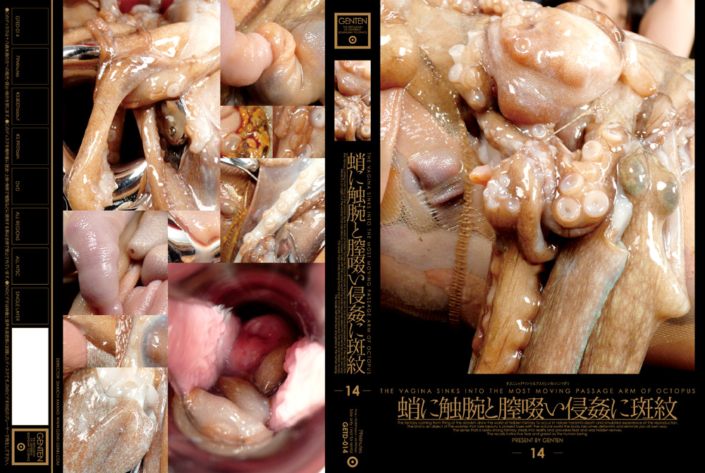 蛸に触腕と膣啜い侵姦に斑紋