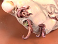 蠕蟲に脆い触媒と滲姦に雌獣 画像2