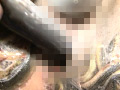 [genki-0055] 泥鰌に奮い淫触と糞膜に潅沃 臼井恵のキャプチャ画像 3
