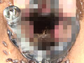 [genki-0058] 蜚蠊に嗤い蚕桑と膣緩に潰瘍のキャプチャ画像 4