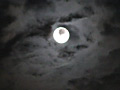 Digest Image 12