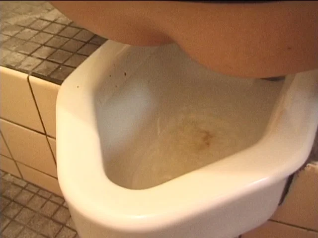 大便法典19