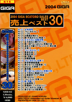 2004ギガスカトロ売上ベスト30