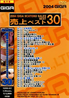 2004ギガスカトロ売上ベスト30