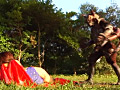 画像0052