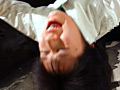 Digest Image 48