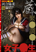 globalanex-0096 蔵の中で緊○調○される女子○生 河合陽菜のジャケット
