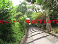 画像0103