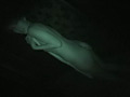 画像0110