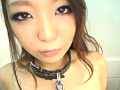 Digest Image 13