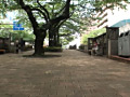 画像0346