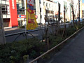 画像0062