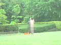 画像0049