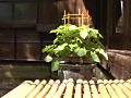 Digest Image 2