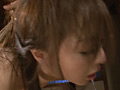 画像0061