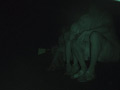 画像0080