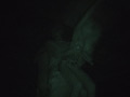 画像0090