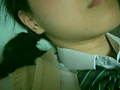 画像0040