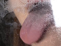 高速ベロ接吻とローションガーゼ亀頭責め手コキ サンプル画像3