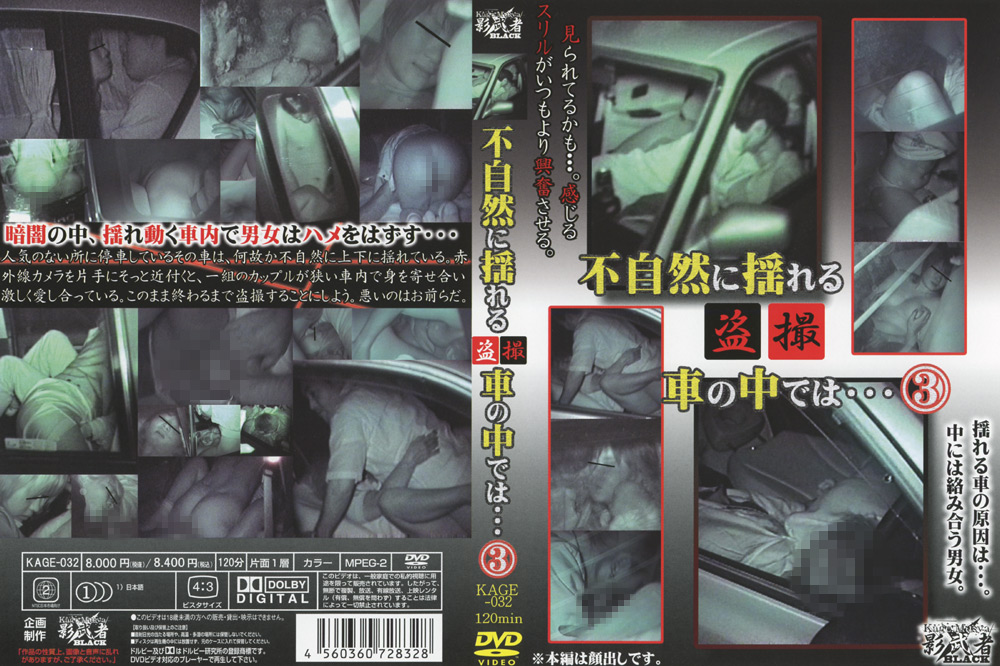 盗撮 不自然に揺れる車の中では…3