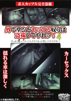 外で堂々とヤッてる奴らは盗撮してやれッ！4