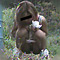 一番エロい女便所3