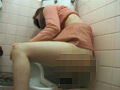 トイレに潜むオナニストのサンプル画像11