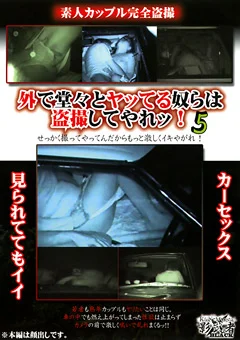 外で堂々とヤッてる奴らは盗撮してやれッ！5