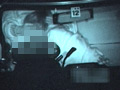 [gurentai-0386] 車内の情事2のキャプチャ画像 9