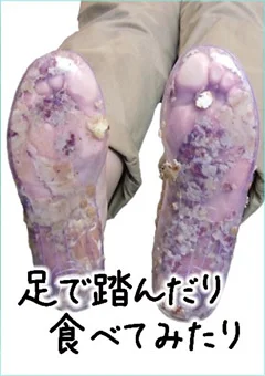足で踏んだり食べてみたり