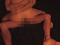 画像0041