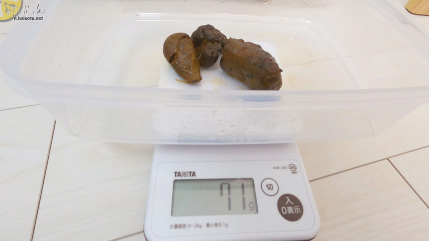 糞をひる 自然便、自撮り集・2 画像10