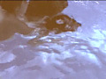 美少女水責め溺地獄のサンプル画像40